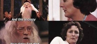 Troll+dumbledore