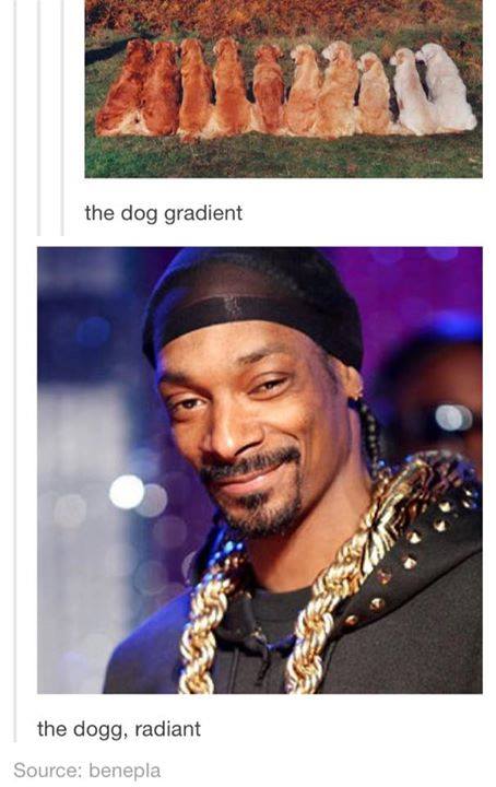 The+dog+gradient