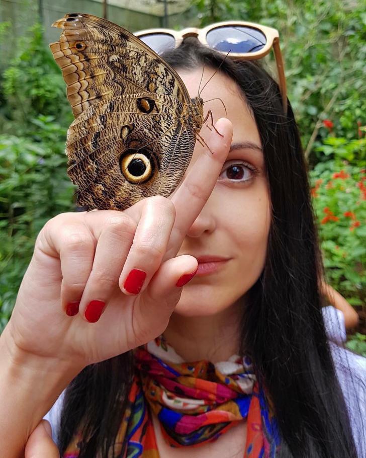 Borrowing+an+eye+from+a+butterfly%26%238230%3B