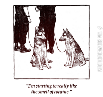 The+problem+with+police+dogs