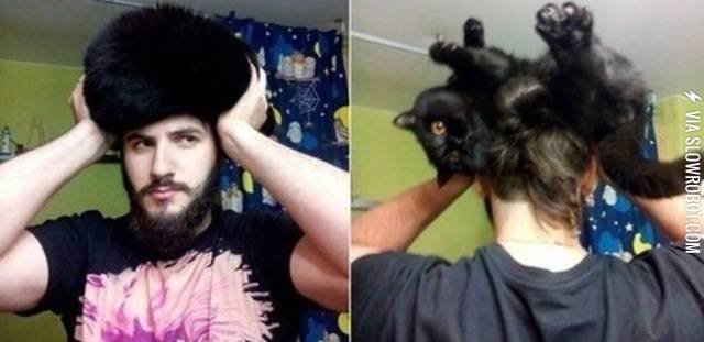 See+this+hat%3F+Tis%26%238217%3B+my+cat.