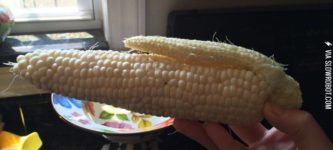 My+corn+on+the+cob+had+a+baby