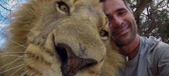 Lion+selfie