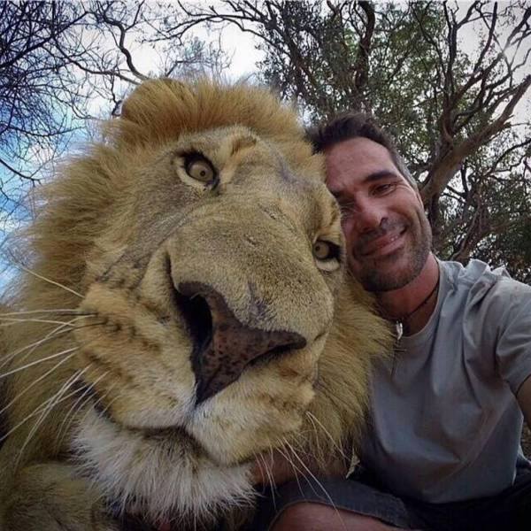 Lion+selfie