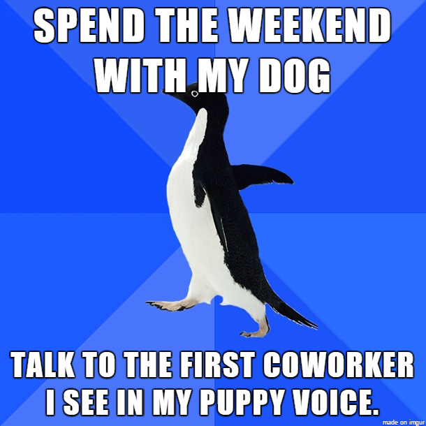 My+dog+is+a+good+listener.