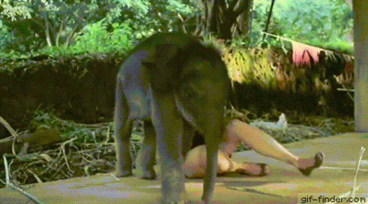 %26quot%3BPlay+with+meee%21%26quot%3B