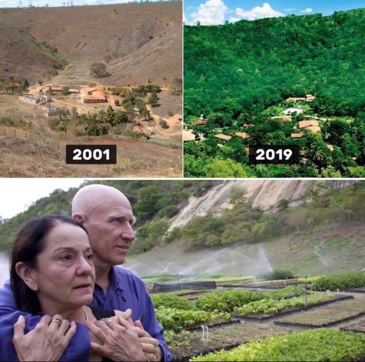 This+couple+planted+over+2million+trees+to+regrow+a+forest+in+20years