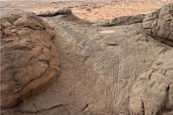 10%2C000+year-old+giraffe+engravings+in+the+Sahara+Desert
