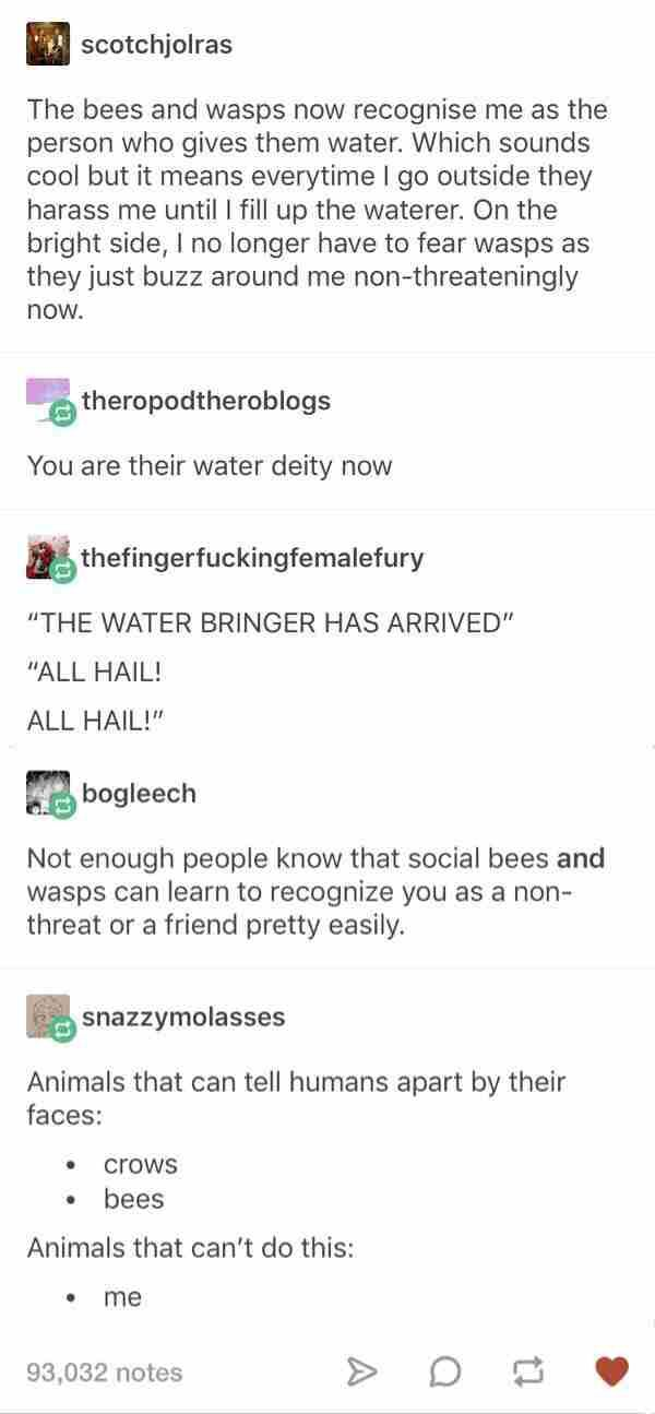 Hail+the+water+boy.