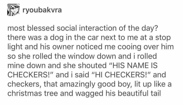 Checkers+was+just+along+for+the+ride.
