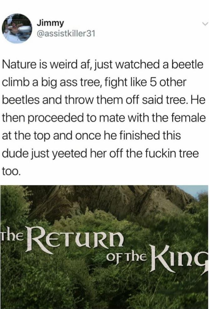 Peace+was+never+an+option