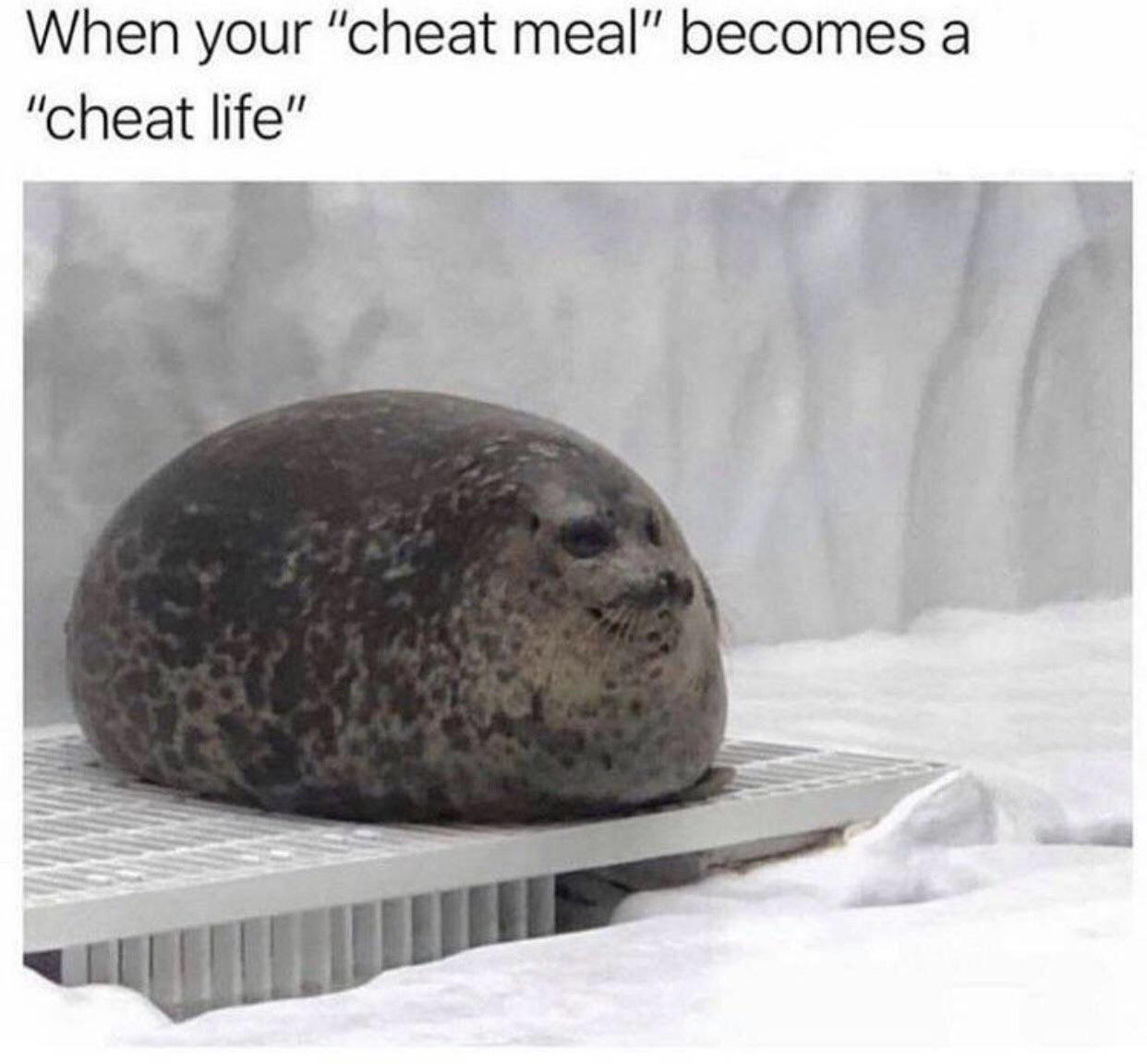 It%26%238217%3Bs+just+a+bulking+phase