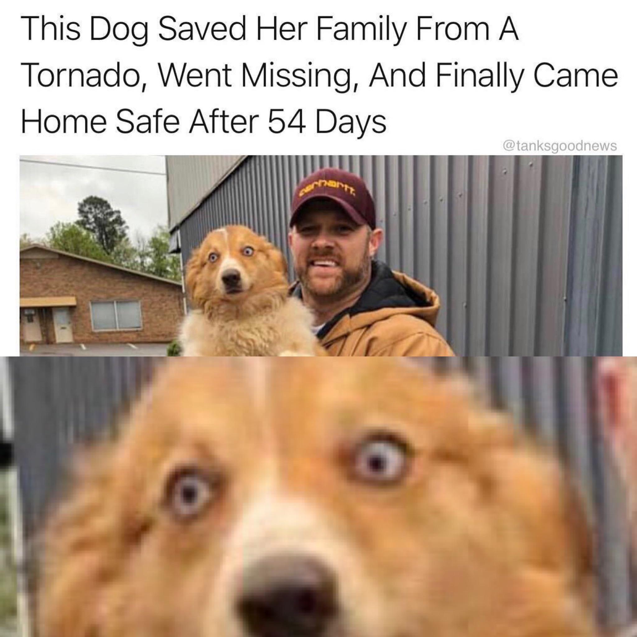 %2Ascary+tornado+noises%2A