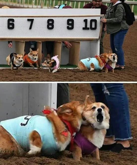 We+finish+this%2C+now.