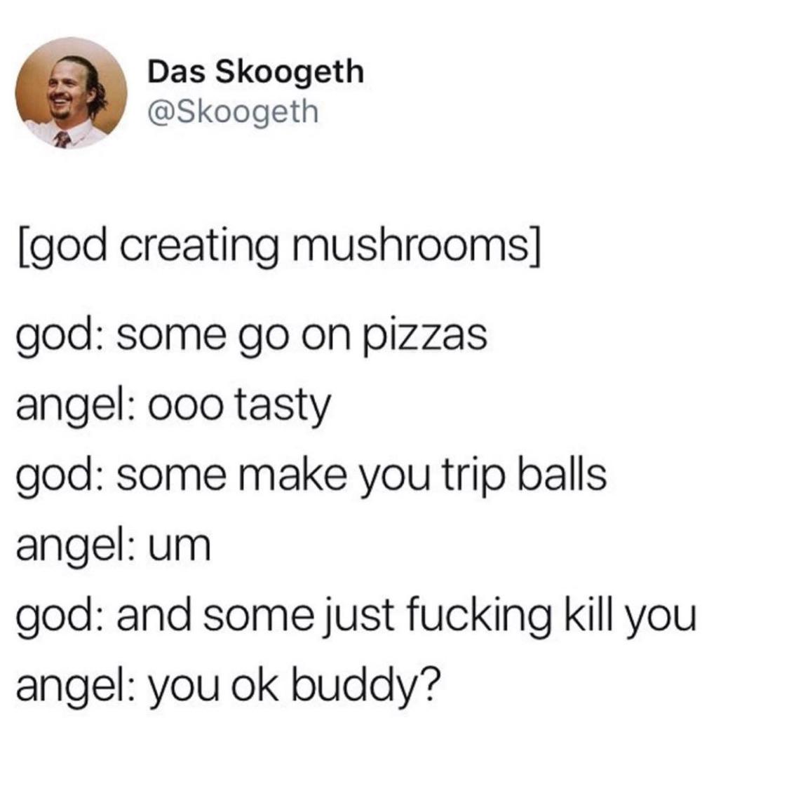 Mushrooms+are+natures+wildcard.