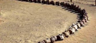 Prehistoric+Whale+Bones+found+in+Egyptian+Desert