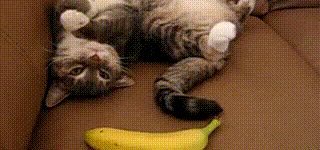 Waking+up+next+to+a+banana.