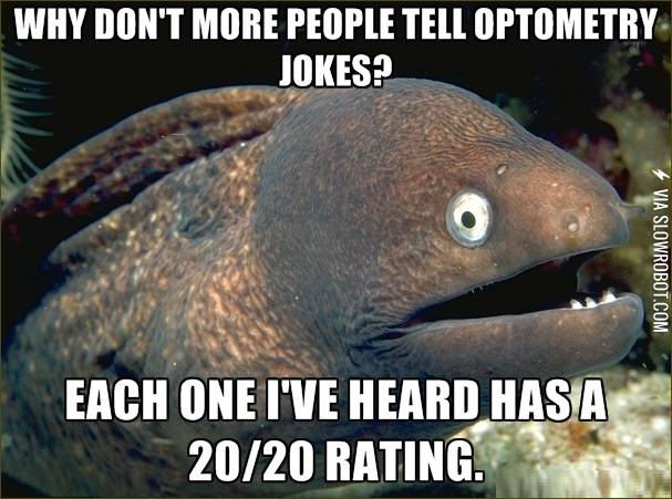 This+pun+is+so+cornea.