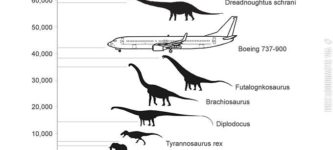 Weight+and+size+comparison.