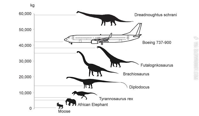 Weight+and+size+comparison.