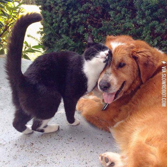 Sometimes+All+You+Need+Is+Love