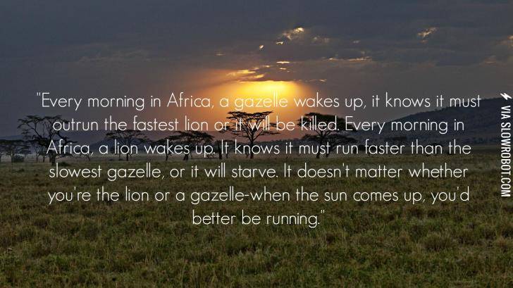 Every+morning+in+Africa%26%238230%3B