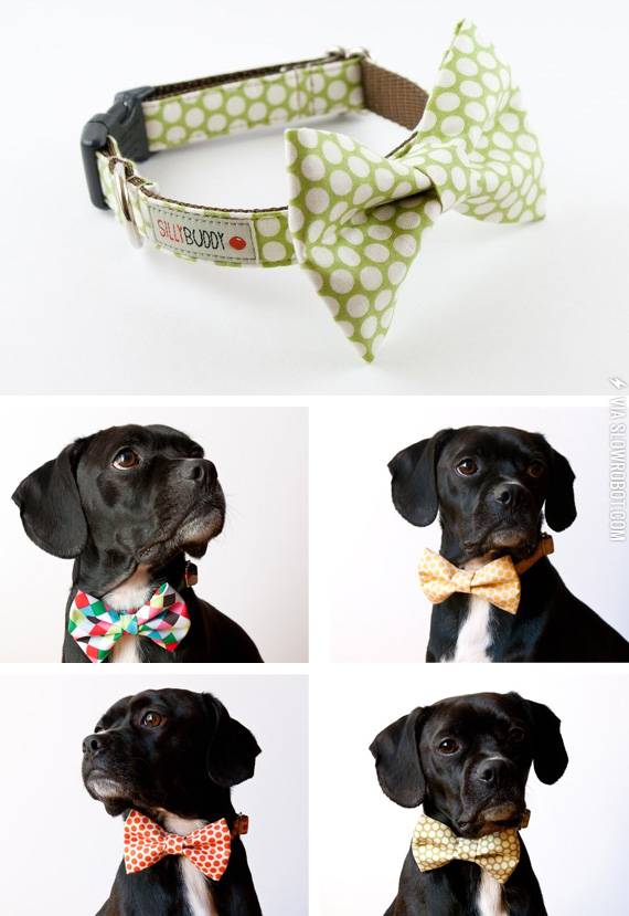 Bow+Tie+Collar