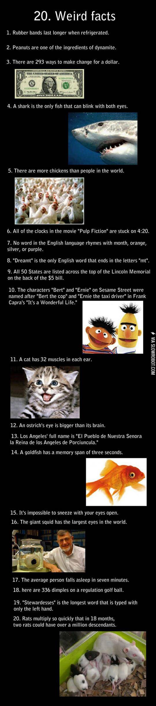 Strange+Facts+About+Everything