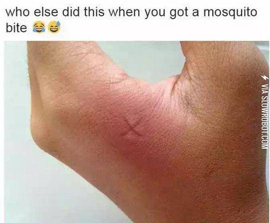 Mosquito+Bite