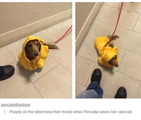 Pancake+Has+Awesome+Style