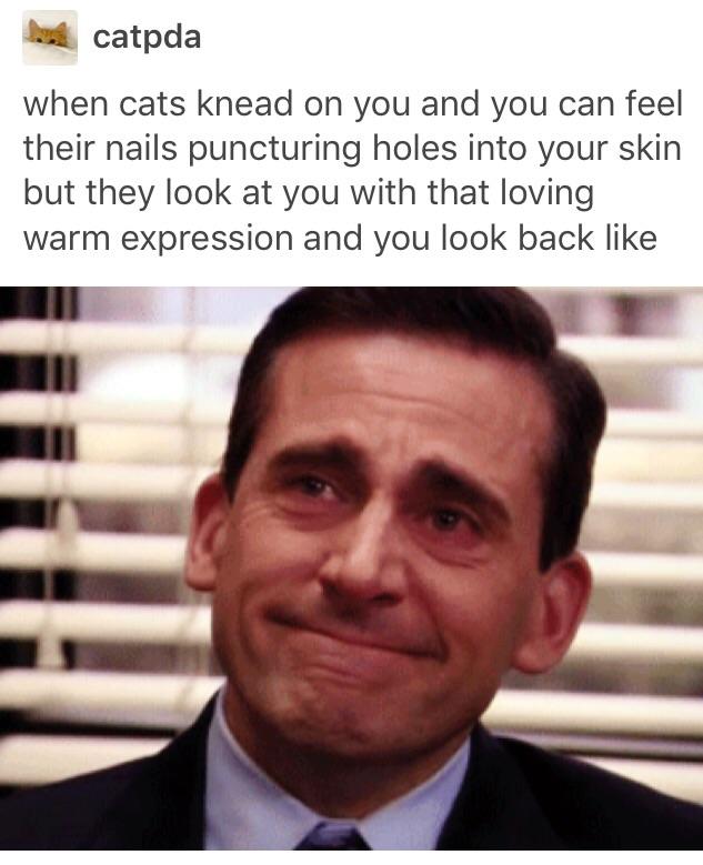 It%26%238217%3Bs+fine+sweetie%26%238230%3B+I%26%238217%3Bm+not+in+pain%26%238230%3B+The+bleeding+means+nothing%26%238230%3B