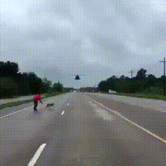 This+guy+is+saving+dogs+in+the+aftermath+of+Hurricane+Harvey