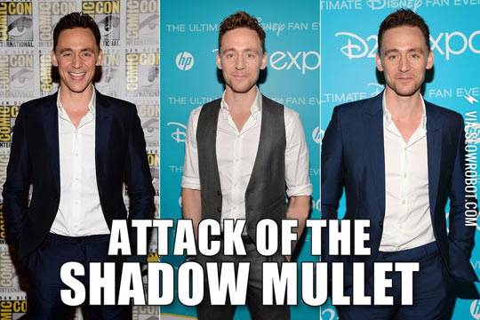 Attack+of+the+shadow+mullet.