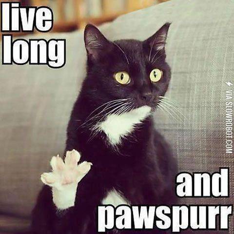Live+long+and+pawspurr