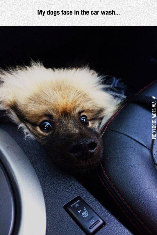 Get+Down+You+Fool%21+We%26%238217%3Bre+Under+Attack