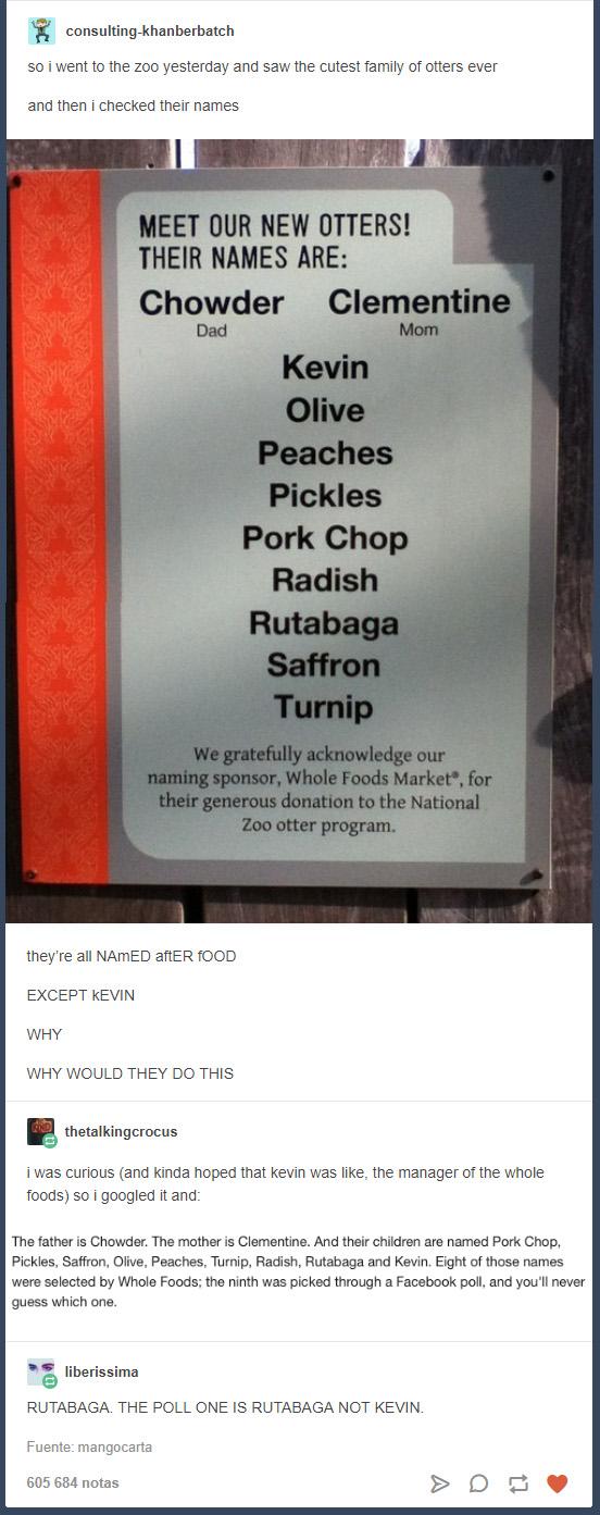 Meet+our+new+otters%21