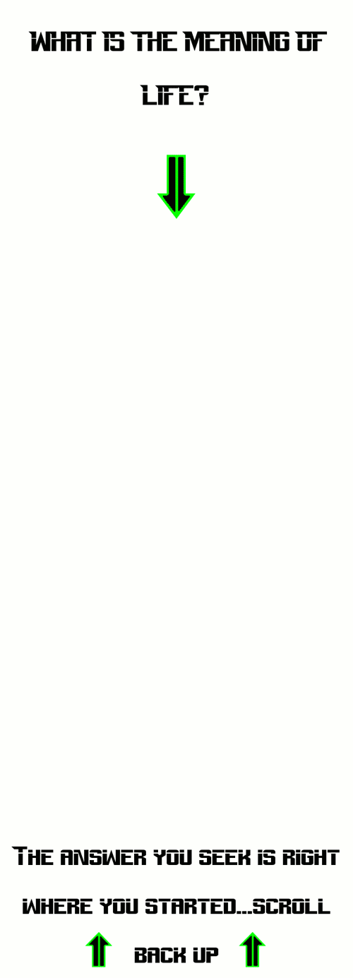 The+meaning+of+life.