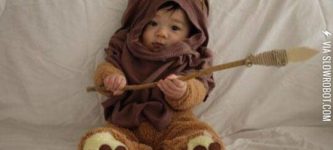 The+Cutest+Ewok+Ever