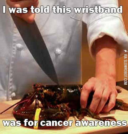 Poor+Innocent+Lobster
