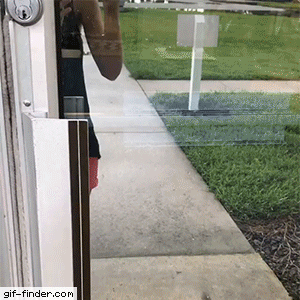 The+best+kind+of+customer+service