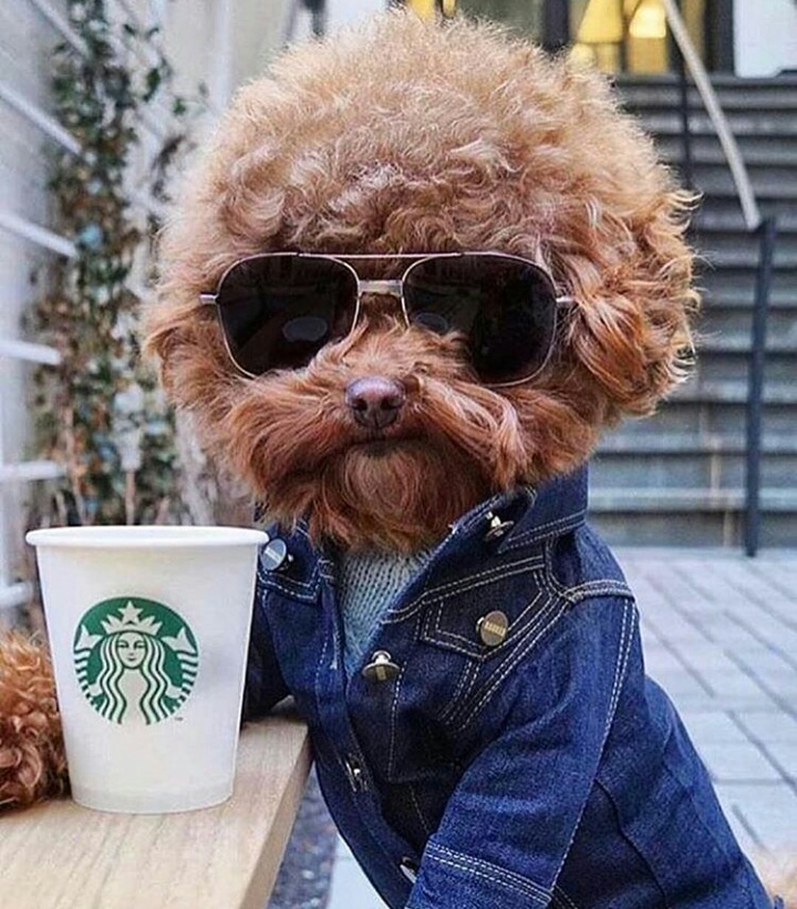 Out+on+the+town+enjoying+some+java.