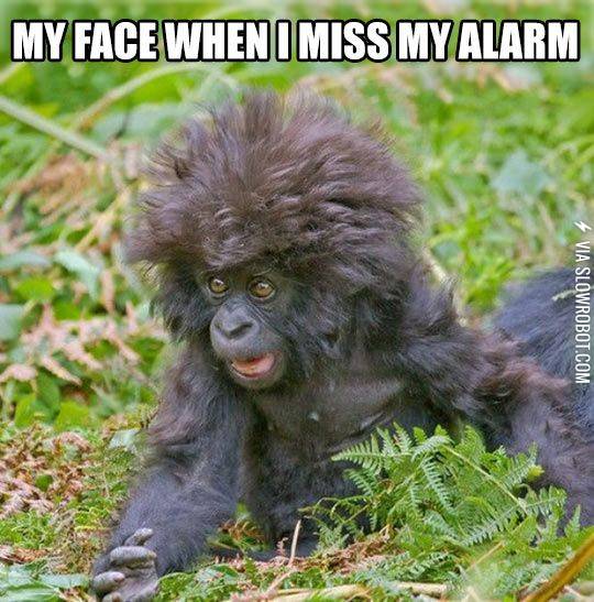 My+face+when+I+miss+my+alarm.