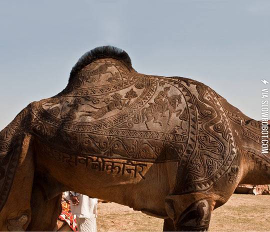 Camel+art.