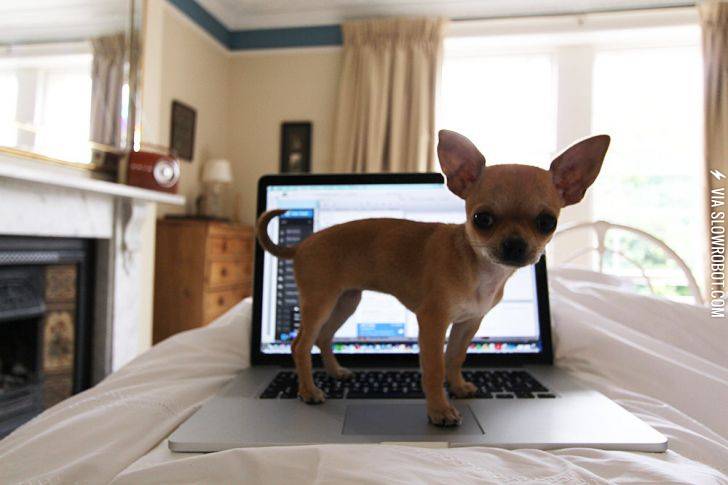 Not+getting+much+work+done+this+morning