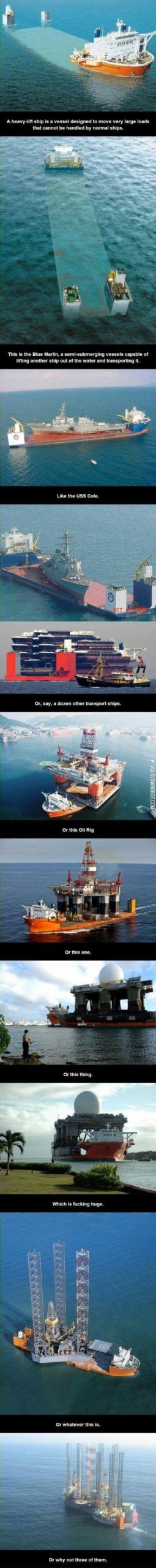 The+mighty+MV+Blue+Marlin