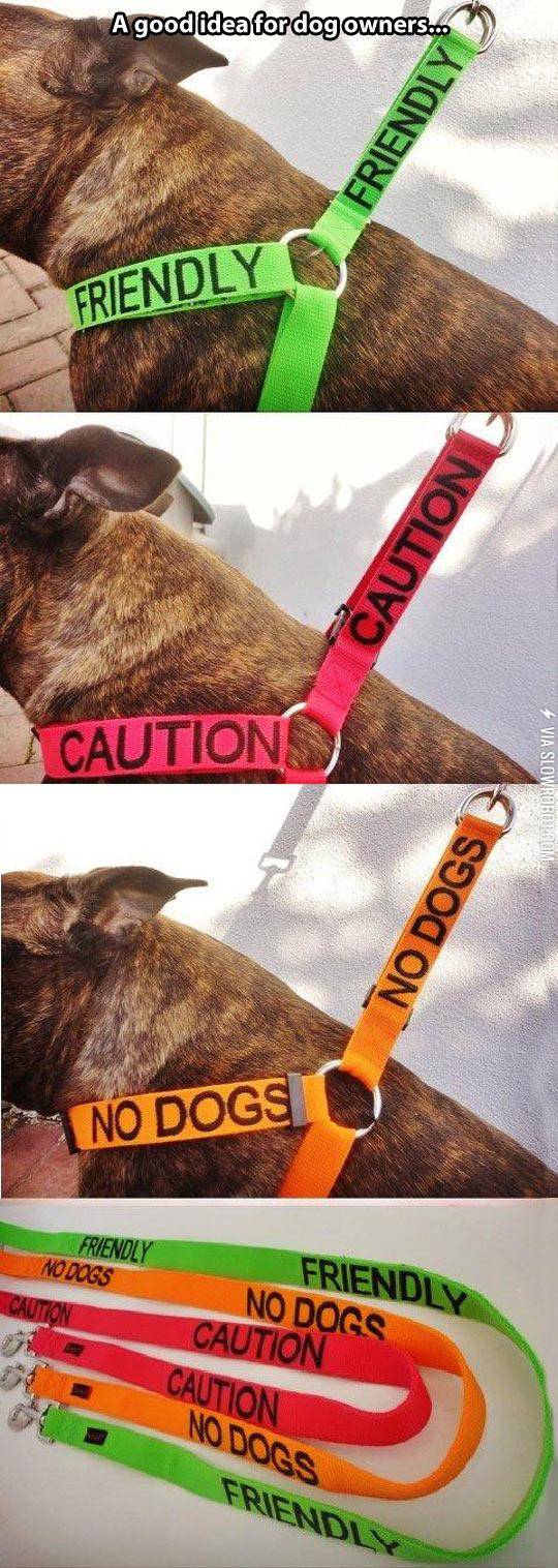 A+Very+Good+Idea+For+Dog+Owners