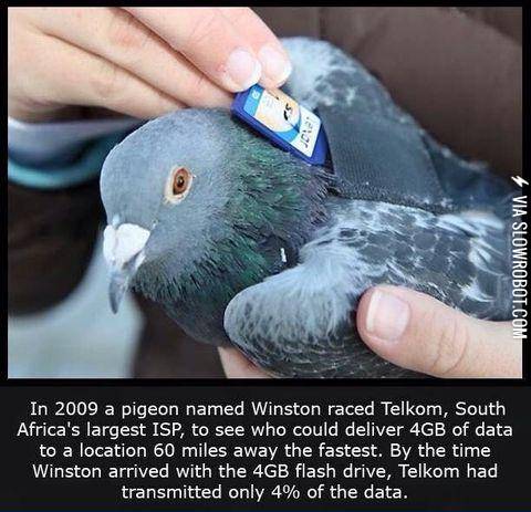 Welcome+to+South+Africa