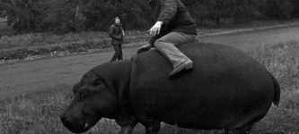 Guy+ridding+a+Hippo