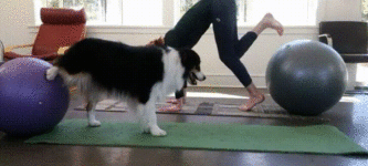 Yoga+Buddy