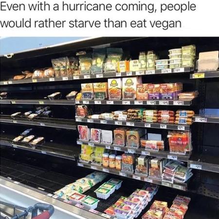 Even+With+A+Hurricane+Coming%2C+People+Would%26%238230%3B